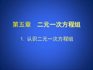 认识二元一次方程组课件