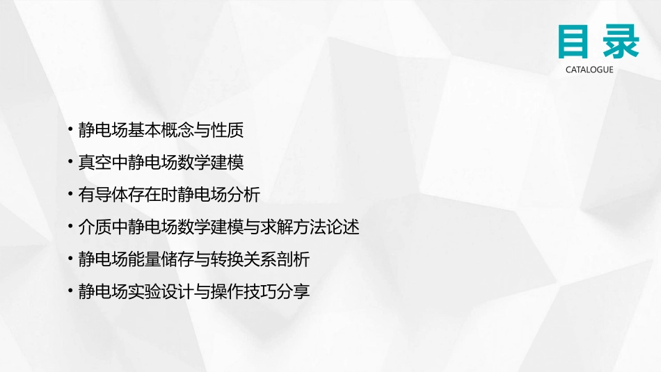2024大学物理课件：静电场的数学建模与分析_第2页