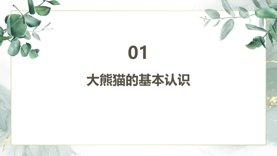 2024大熊猫教育：课件中的科学与保护_第3页