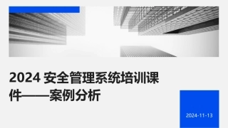 2024安全管理系统培训课件——案例分析