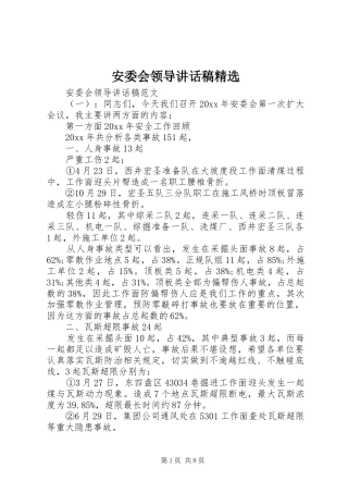 安委会领导讲话发言稿精选