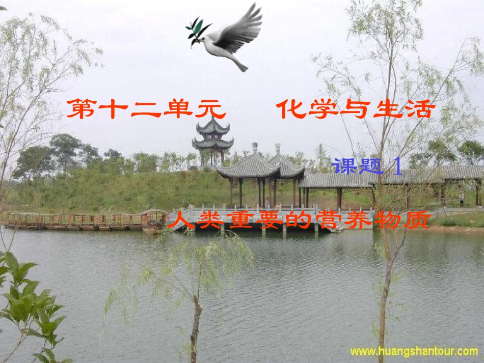 人类重要的营养物质1_第1页