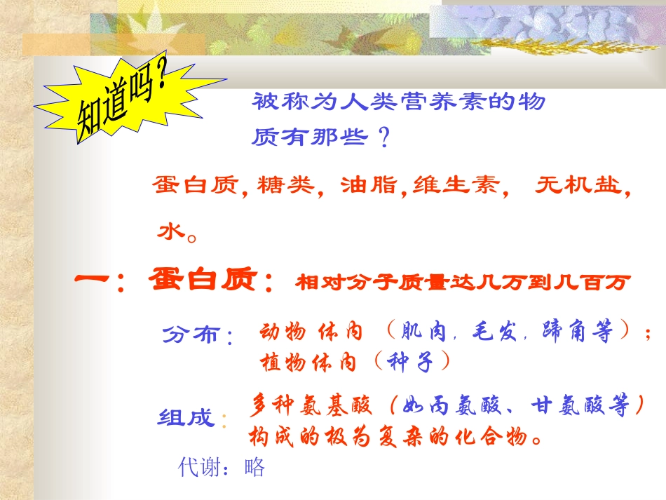 人类重要的营养物质1_第2页