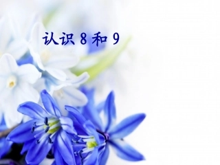《8和9的认识》课件