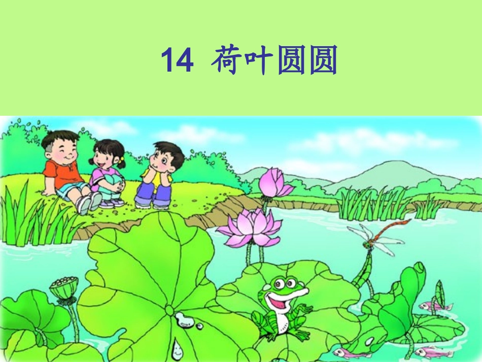 荷叶圆圆 课件_第1页