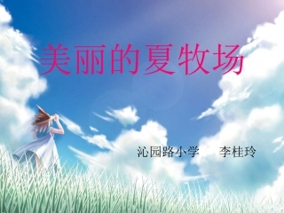 美丽的夏牧场