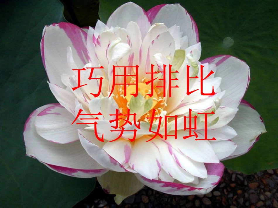 精彩作文开头赏析[1]_第2页