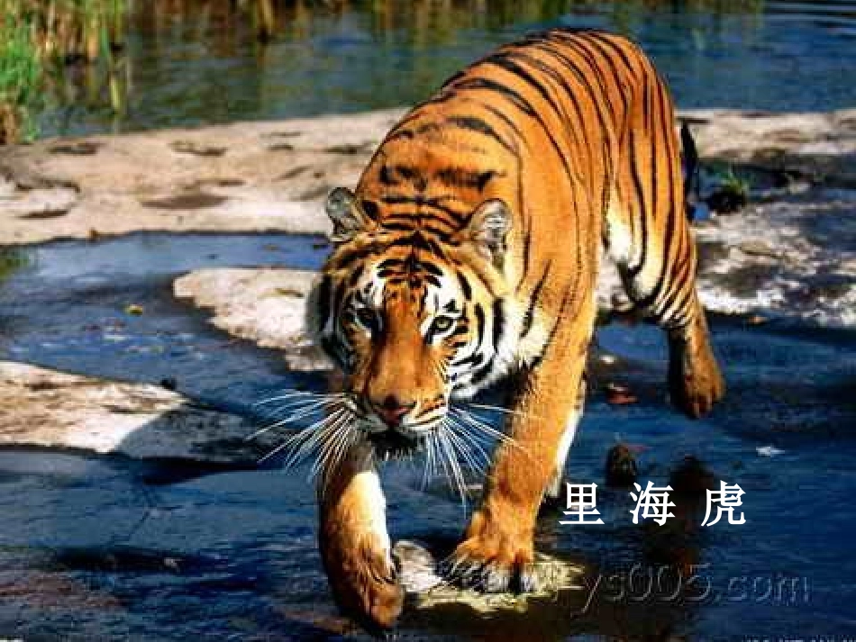 预备班幼儿教育第一课时课件 (2)_第3页