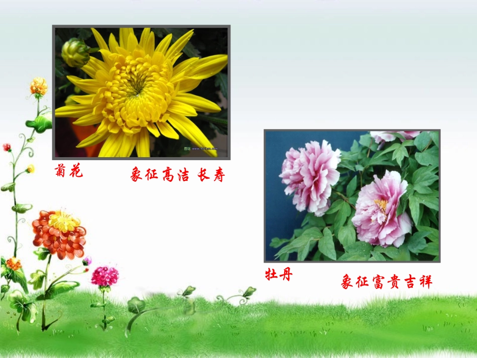 生活与艺术中的花_第3页