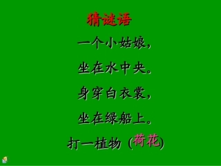 有课文朗读《荷花》PPT之一课件(人教版三年级语文下册课件)