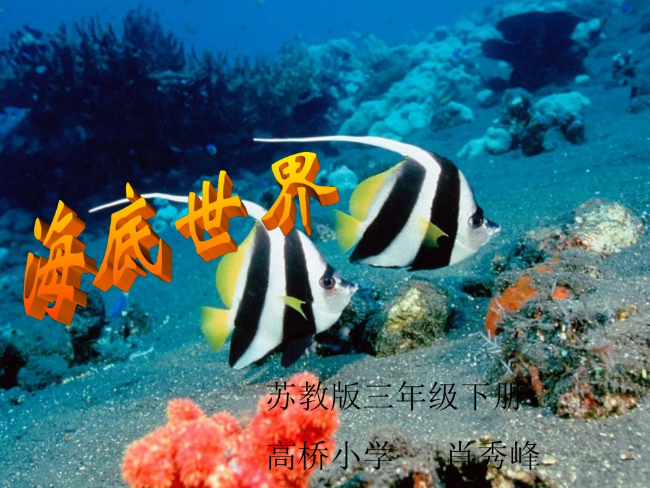 课件海底世界6_第1页