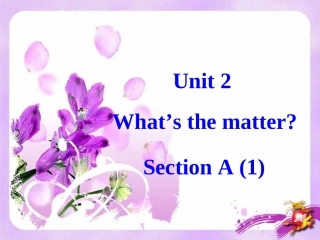 2014新人教版八年级下册unit1What'sthematter1a-2d