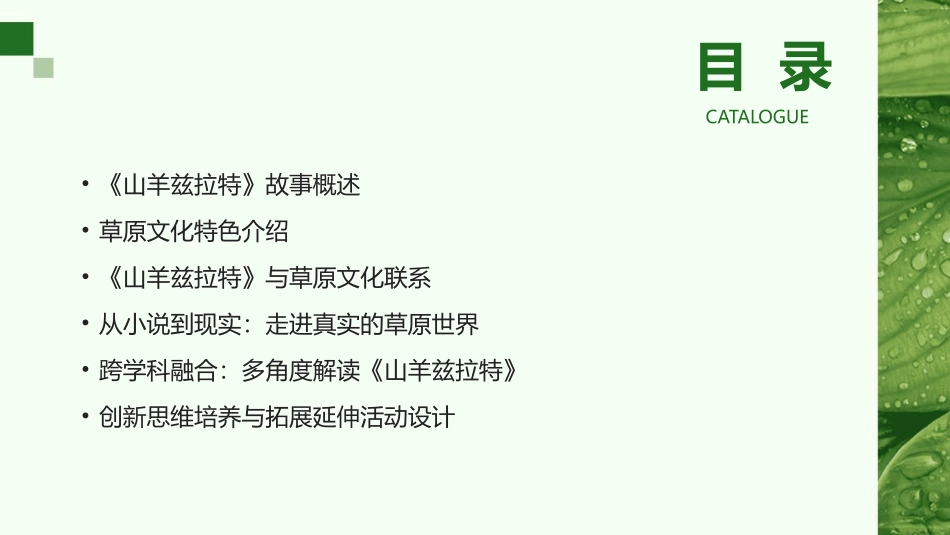 2024山羊兹拉特课件制作：从小说到草原_第2页