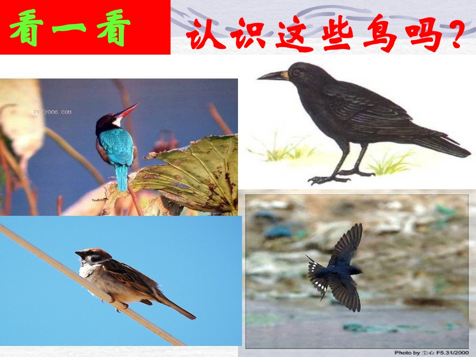 余宗莲明天不封阳台_第1页
