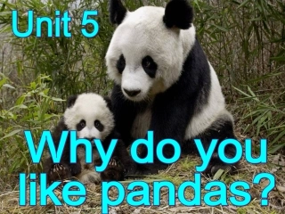 研摩后课件SectionA