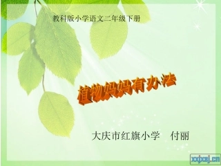 植物妈妈有办法2