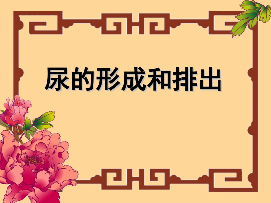 泌尿系统课件2_第1页