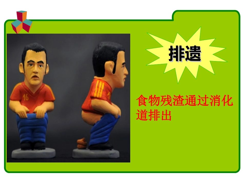 泌尿系统课件2_第2页