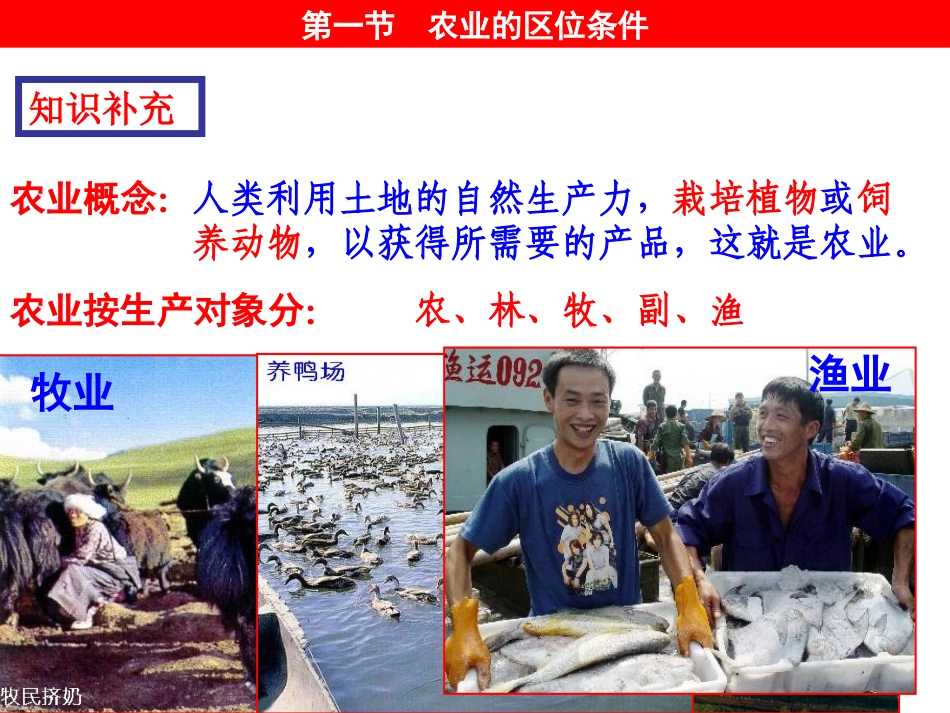 地理31课件_第3页