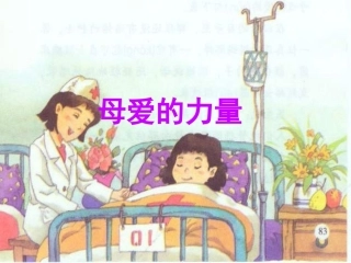 母爱的力量课件