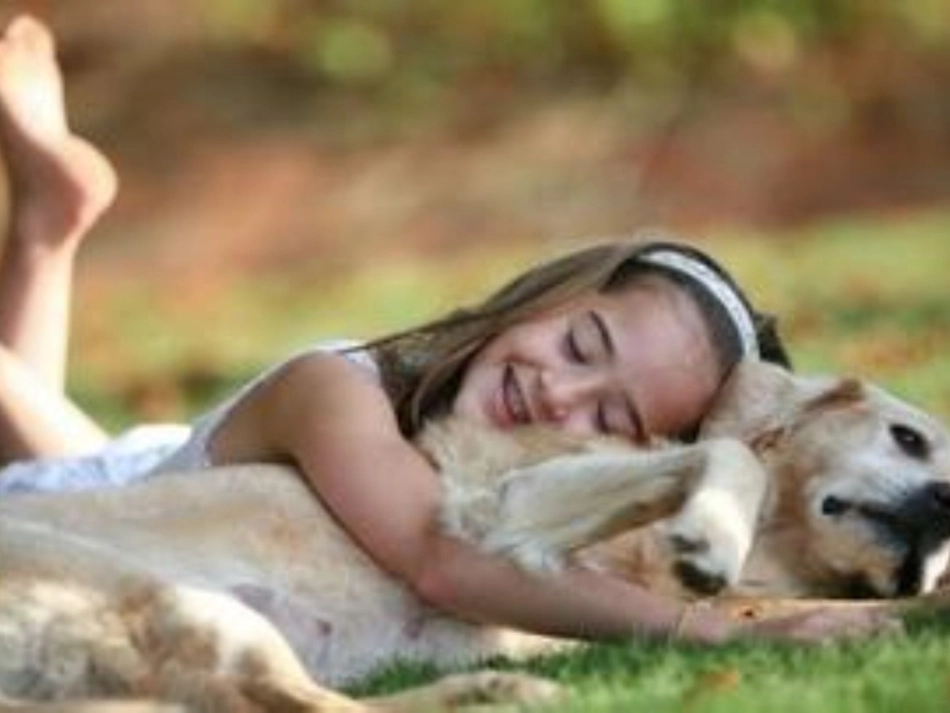 老人与海鸥课件 (3)_第2页