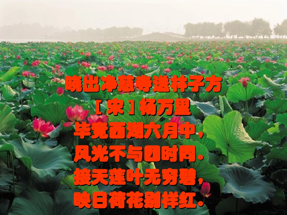 八上《湖心亭看雪》_第3页