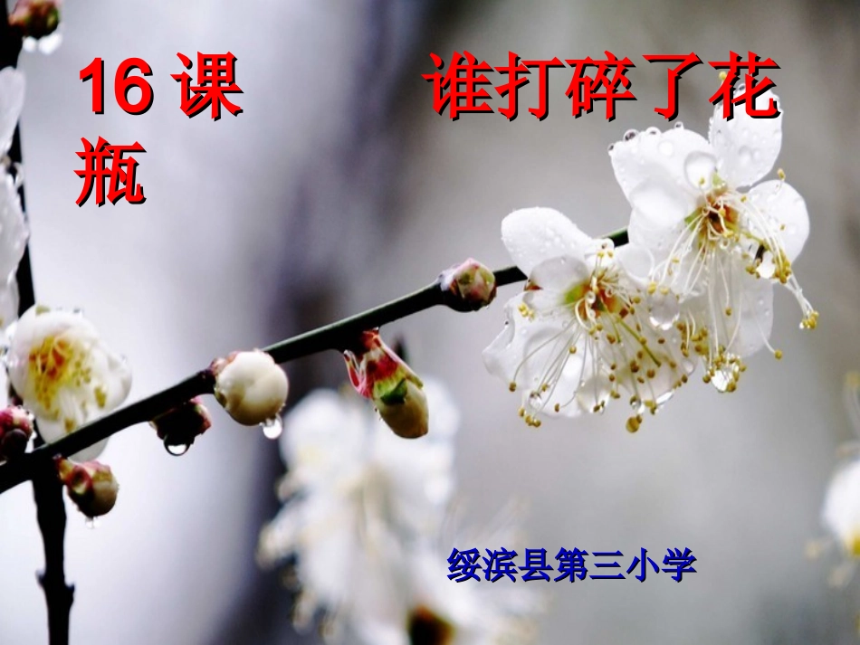 谁打碎了花瓶1_第1页