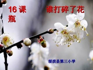 谁打碎了花瓶1