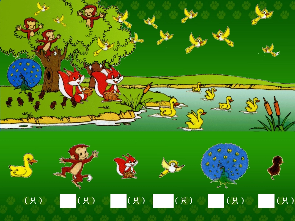 快乐的动物课件_第3页