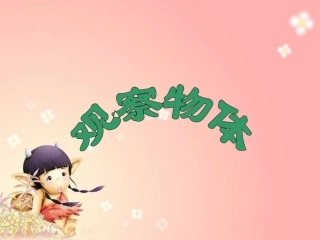 观察物体课件2
