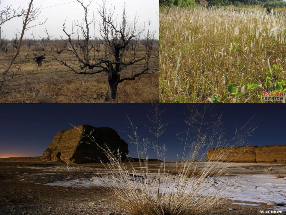 西门豹 (2)_第3页