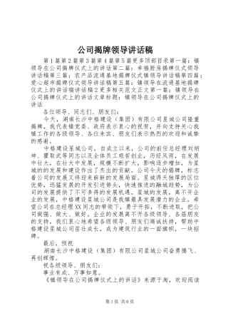 公司揭牌领导讲话发言稿