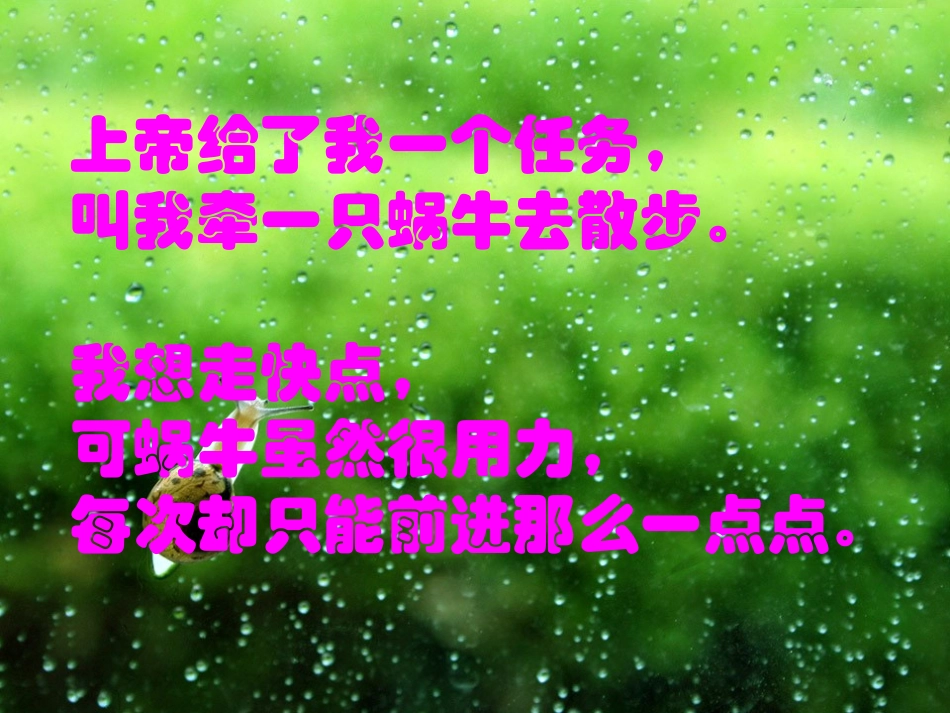 牵一只蜗牛去散步(精彩)_第2页