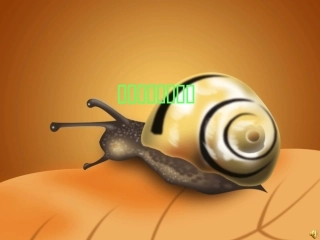 牵一只蜗牛去散步(精彩)