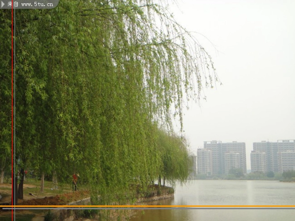 鄂教版_一年级下_咏柳_第3页