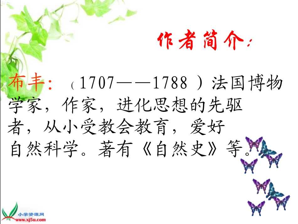 《松鼠》课件宋志娟_第2页