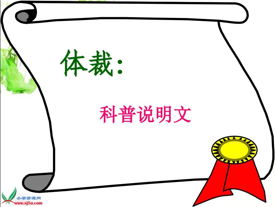《松鼠》课件宋志娟_第3页