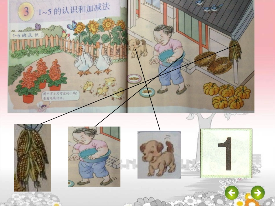 新人教版《1—5的认识》PPT课件_第3页