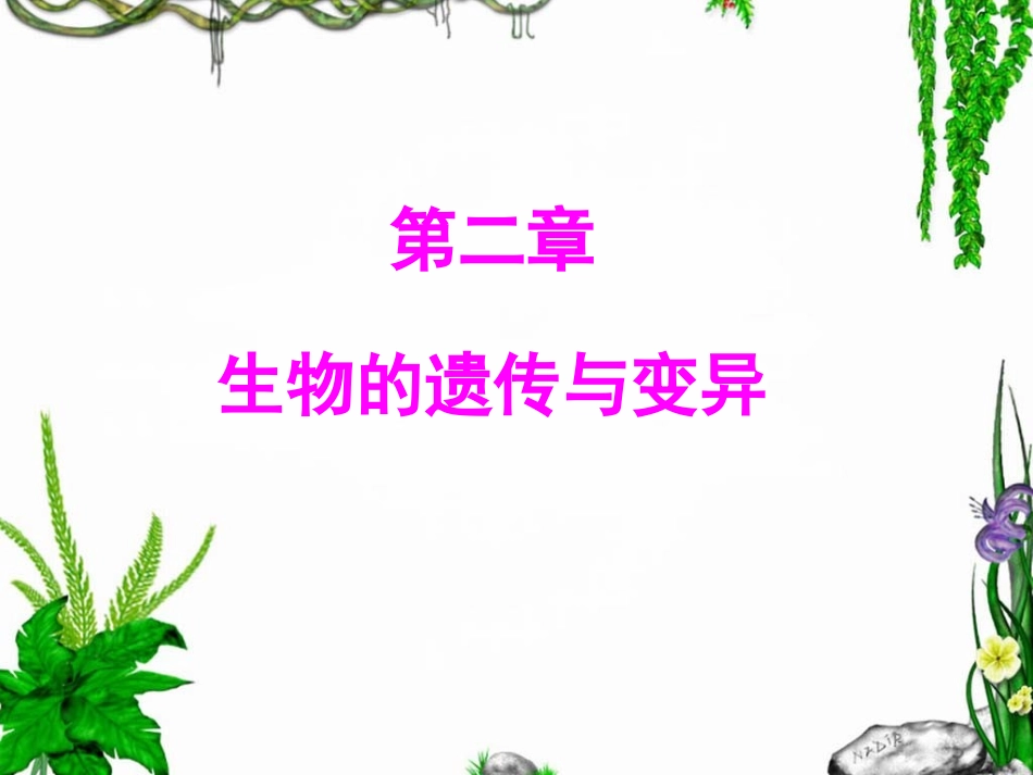 课件：基因控制生物的性状_第2页