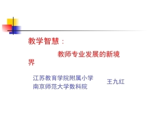 教学智慧：教师专业发展的新境界