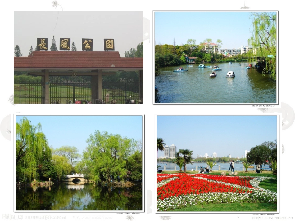 我眼中的春天_第2页