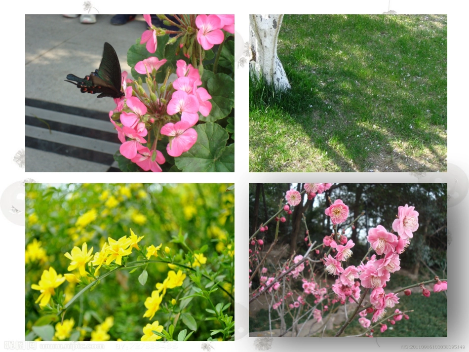 我眼中的春天_第3页