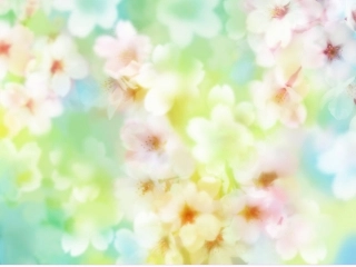 幸福的大桌子22