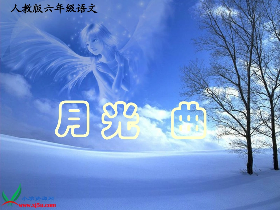 六年级《月光曲》课件_第2页