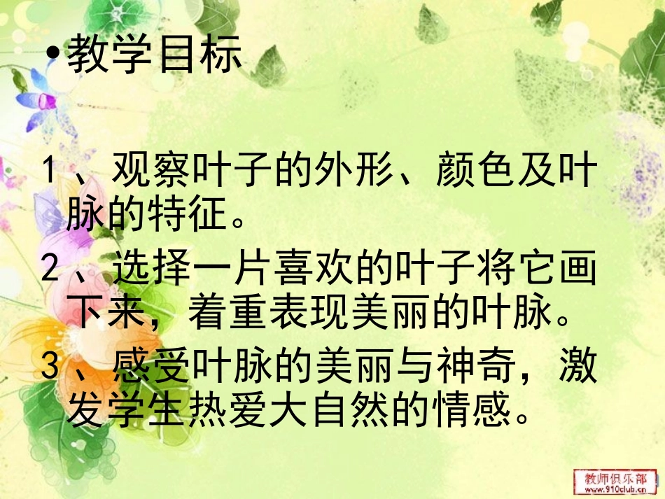 叶子上的小血管说课_第3页