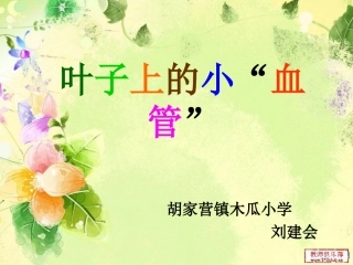 叶子上的小血管说课