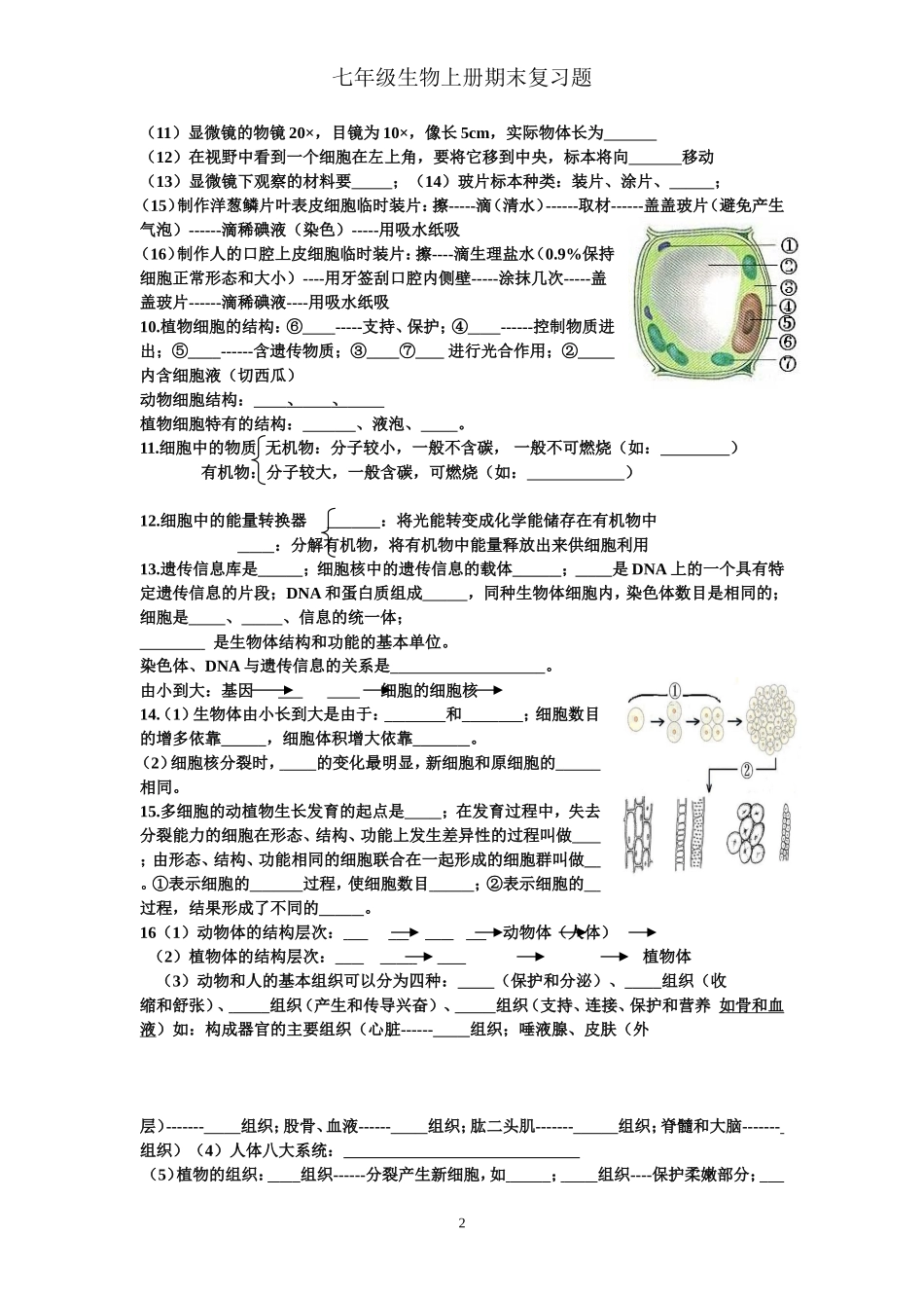 七年级生物上册期末填空题复习_第2页