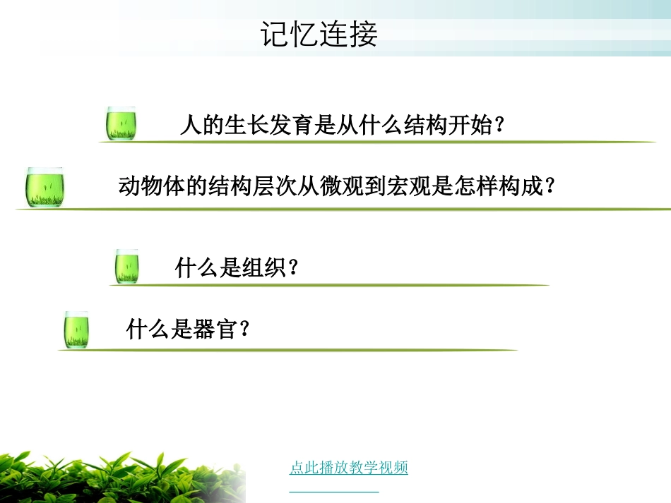 (新人教版)植物体的结构层次 (2)_第2页