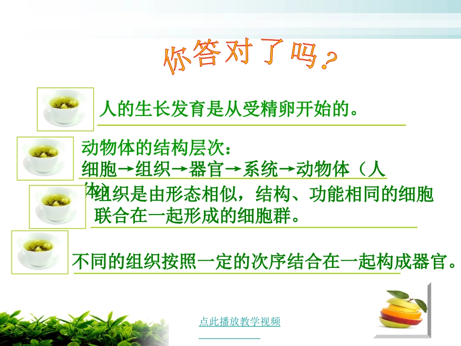 (新人教版)植物体的结构层次 (2)_第3页