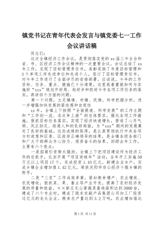 镇党书记在青年代表会发言与镇党委七一工作会议的的讲话稿